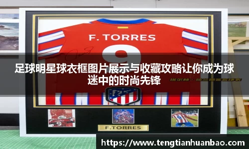 BSport必一运动